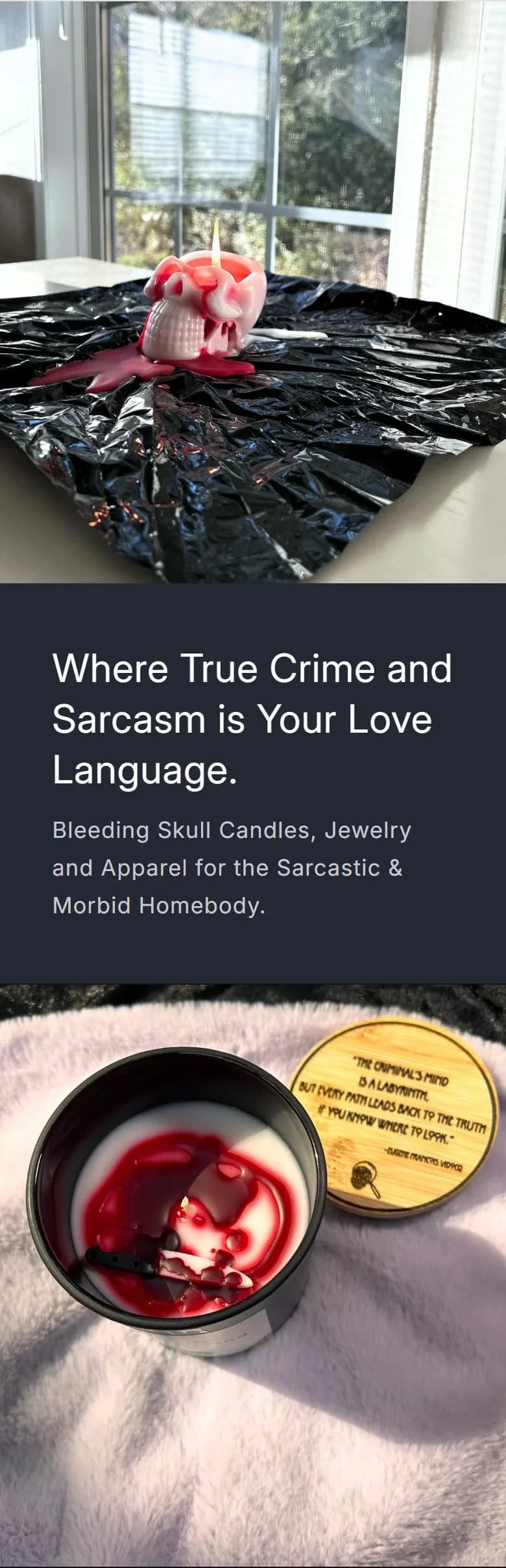 Home, hero, old site, phone view. Two half-width photos under a boxed headline and subline, with no button and no link.