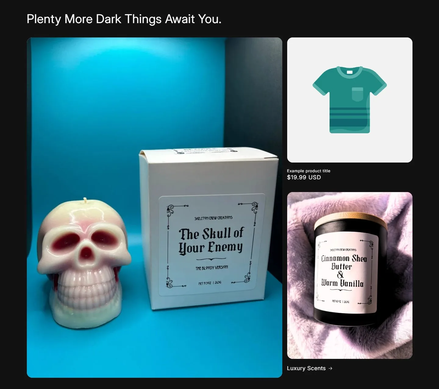 Home, removed: collage with a placeholder card, old site, desktop view. 'Plenty More Dark Things Await You.' with a theme placeholder card reading 'Example product title $19.99 USD' and a large skull photo that linked nowhere.