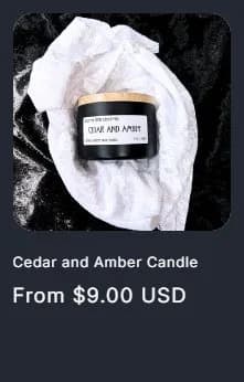 Collection page, product card with sizes, old site, desktop view. 'From $9.00 USD' with no way to pick a size.